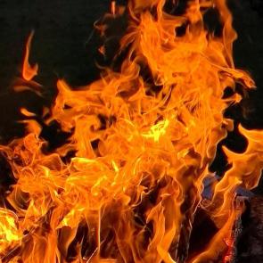 ����: ����� ����