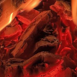 ����: ������ ����