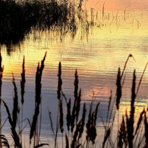 ����: ��������� ������