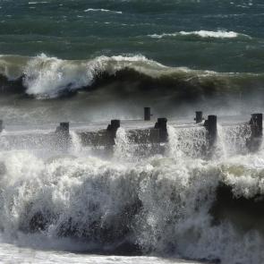 ����: ���� ���������...