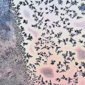 ����: ������� ������