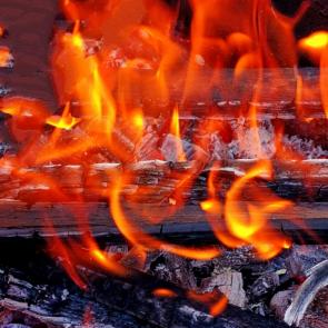 ����: ����� 