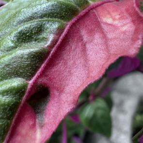 ����: �� ���������