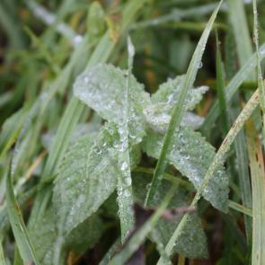 ������ � ���������