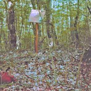 ����: ����� ������� ��7 �������� � ���������