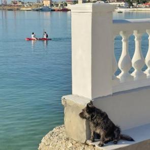 ����: � ��������