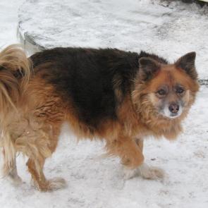 ����: ����,������