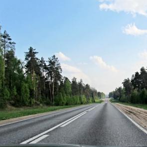 ����: ������