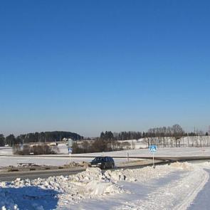 ����: ������