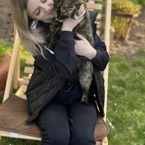 ������� ������