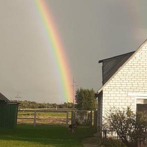 ����: ������