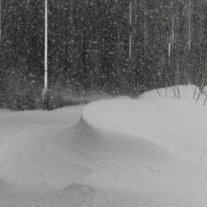 ����: ������