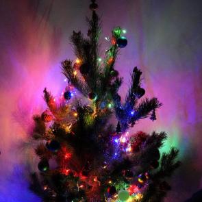 ����: ������� ������������������