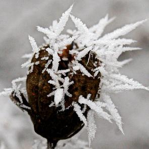 ����:  ����