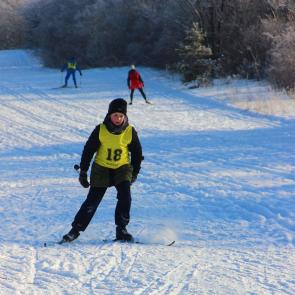 ����: ������