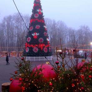 ��������� ����������� ���������