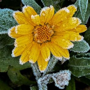 ������ ���������������