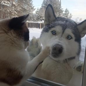 ����: �������� �������� 