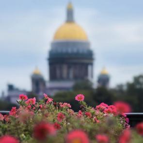 ����: ����� - ������, ����� - �����... 