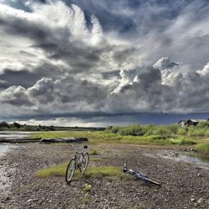 ����: ����� ������