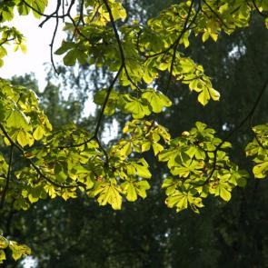 ����: ������ ���������� � ������