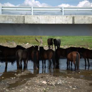 ����: ����� �������