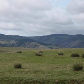 ����: ������ ������  �� �������