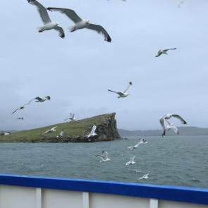 ����: ����������� �����