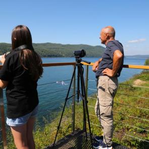 ����: ��������� ��������