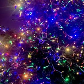 ��������� ����������� ���������