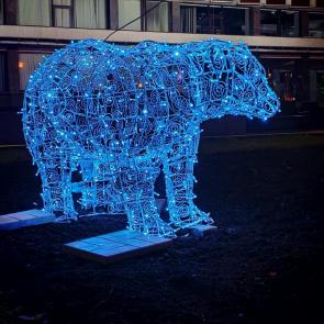 ����: �����