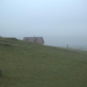 ����: �����