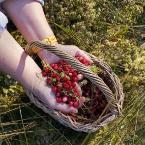 ���� � �����