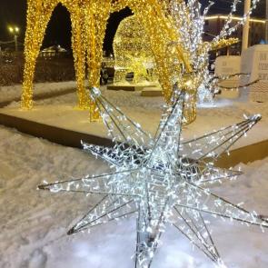 ��������� ����������� ���������