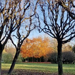 � ������� ��� ������ ������