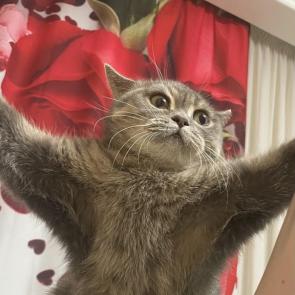 ����: ���� � ������