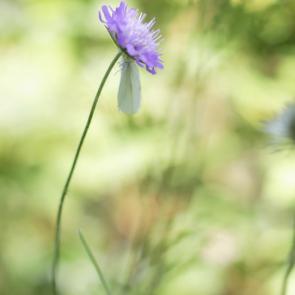 ����: ������� ��������� � �����