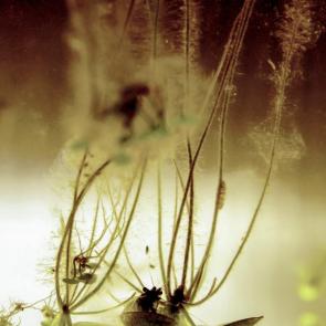 ����: ��������� �����