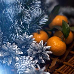 ������ �������������