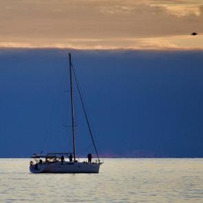 ����: ����� ����