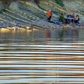 ����: �����