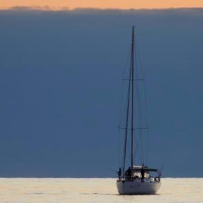 ����: ������� ������