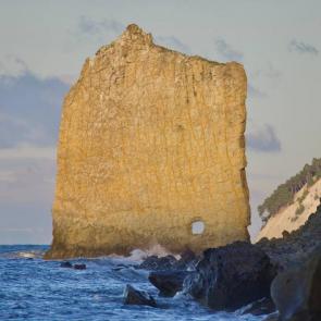 ����: ����� �����