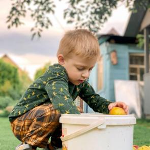 ����: ��������