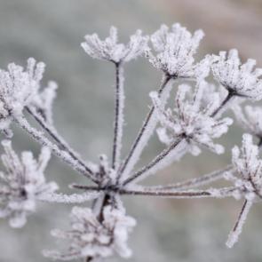 ������ ���������������