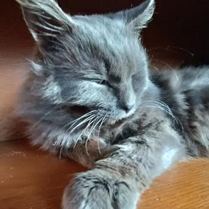 �������� ������ ���