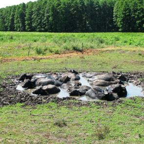 �������� ������ ���