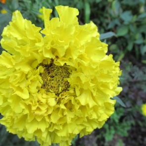 ����: Ƹ���� ������� 