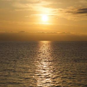 ����: ������������ ����