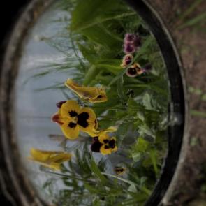 ����: �� �� ������� 